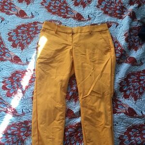 Orange Express pants